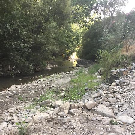 דירות Jubrique מראה חיצוני תמונה